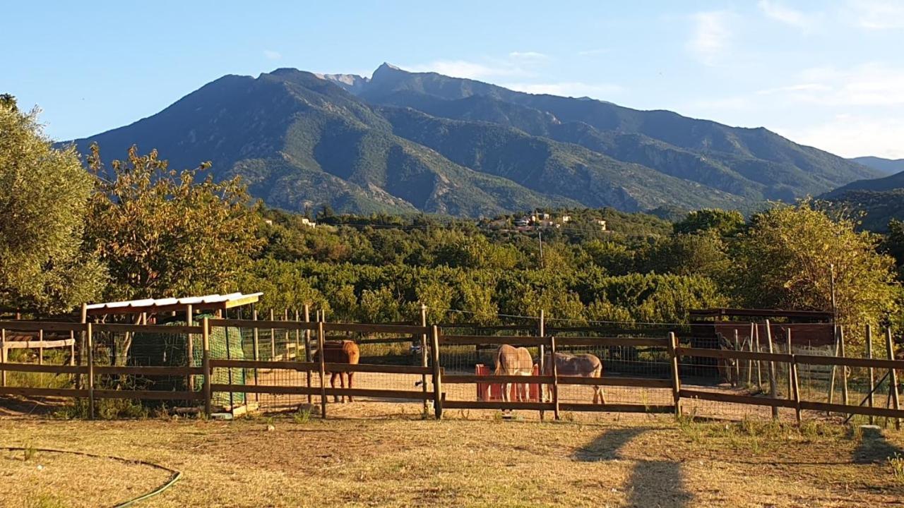 D'hotes Le Petit Ranch * Los Masos